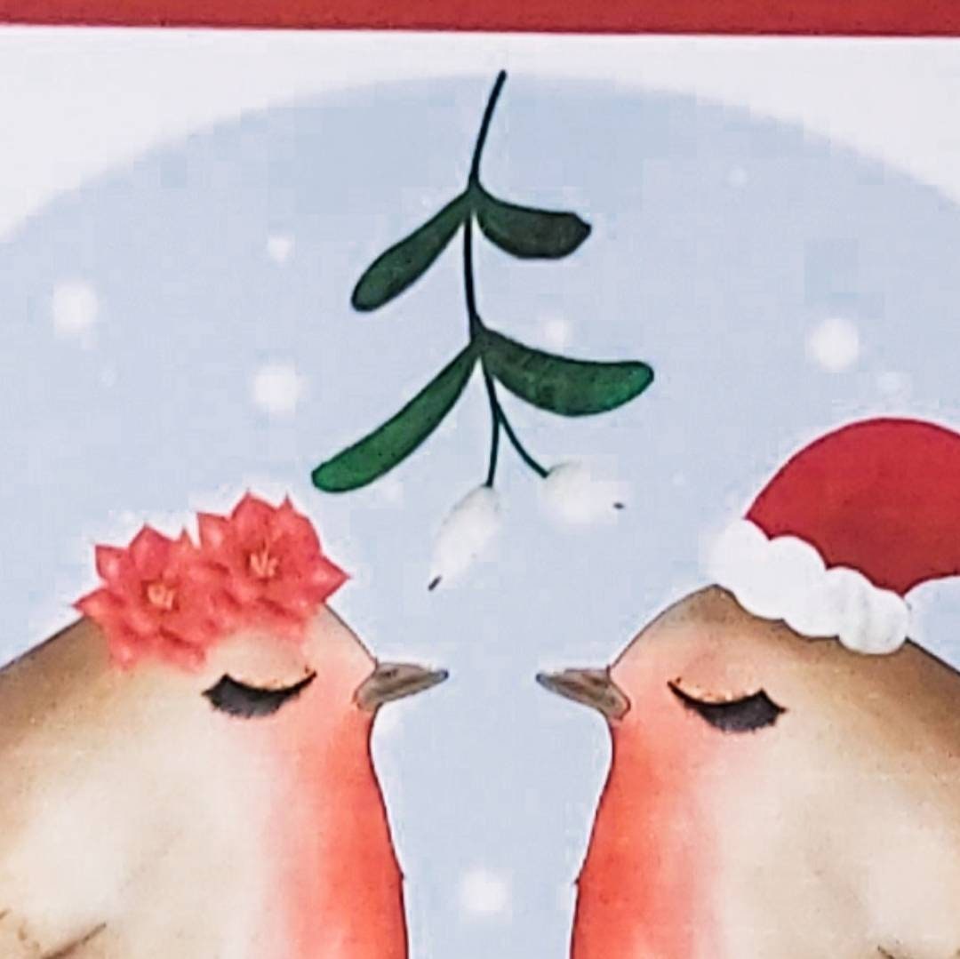 Robin Christmas card, robin card for husband, robin card for wife, Christmas Robin's, robin love card, kissing under the mistletoe card