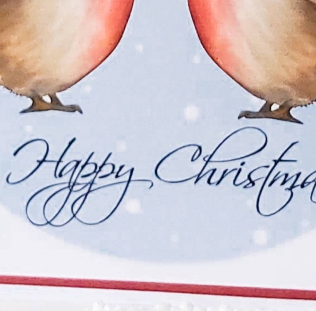 Robin Christmas card, robin card for husband, robin card for wife, Christmas Robin's, robin love card, kissing under the mistletoe card