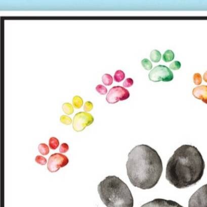 Pet loss sympathy card