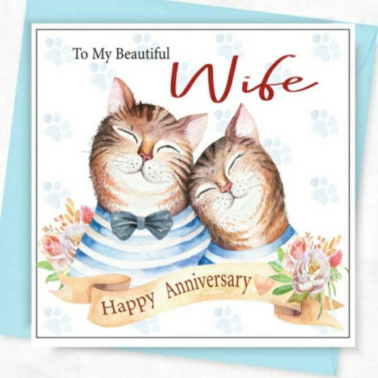 Cat anniversary card for wife / fiancee/  girlfriend, cat birthday card.