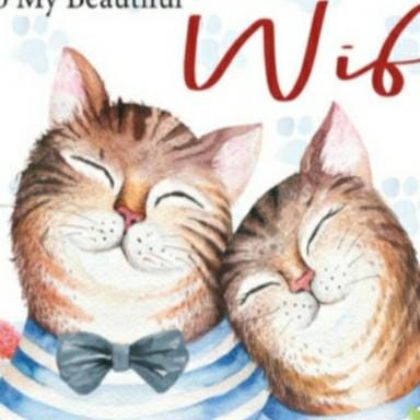 Cat anniversary card for wife / fiancee/  girlfriend, cat birthday card.