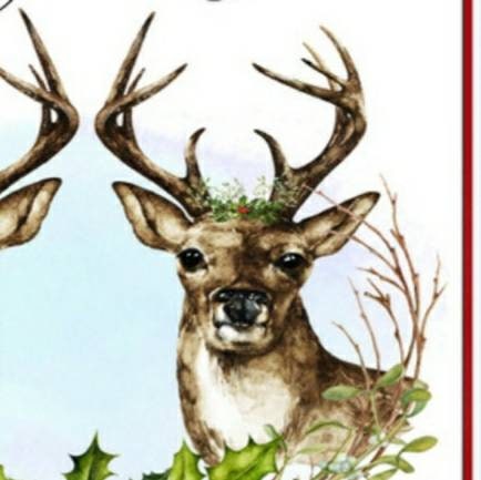 Special couple Christmas card, stag Christmas card for husband/ wife